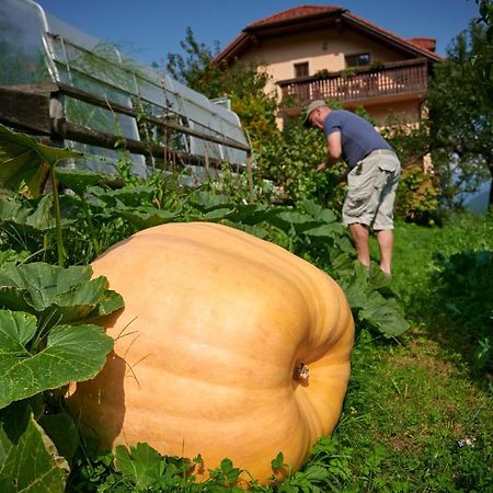 Вилла Tourist Farm Kolar Ljubno Экстерьер фото
