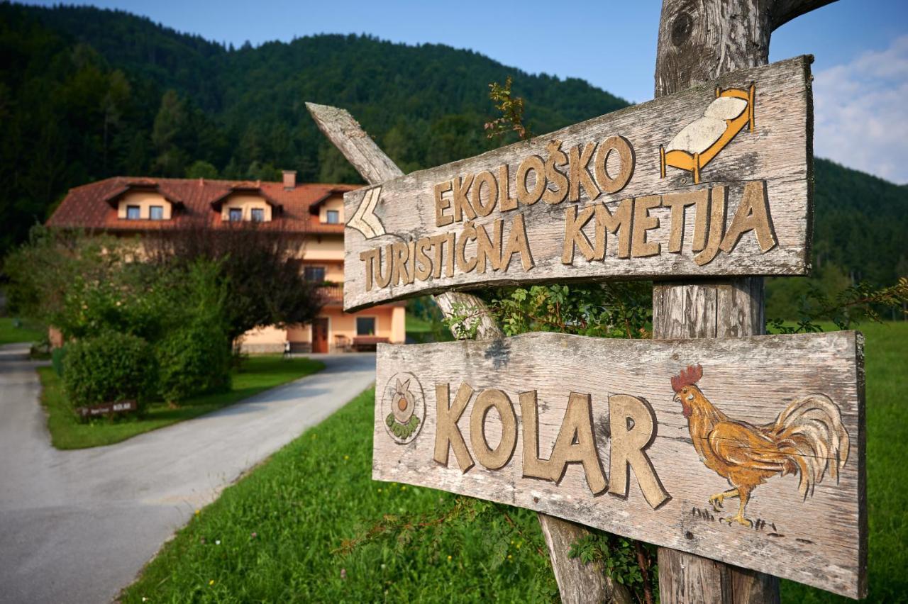 Вилла Tourist Farm Kolar Ljubno Экстерьер фото